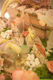 Lollipops in Fairyland Table Arrangement تنسيق طاولة مصّاصات بثيم ال fairy