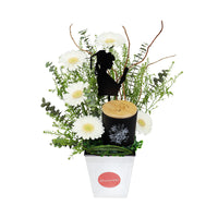 Graduation Blooms and Candle in a Vase أزهار للتخرج وشمعة في مزهرية
