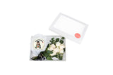 Congratulation Lady Mini Cake & Flower in a Box صندوق ميني كيك مع ورد