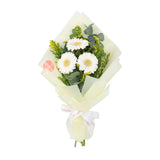 White Gerbera Bouquet باقة جربيرا بيضاء