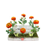 Acrylic Box with Cake and Artificial Flowers III - صينيه اكريليك مع كيك و ورد صناعي