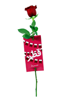 Single Red Rose with Card II- ورده مع بطاقة بتصميم اليوم الوطني