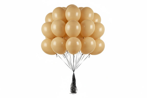 Set of 20 - Retro Coco Balloon مجموعه من ٢٠ بالون – كوكو ريترو
