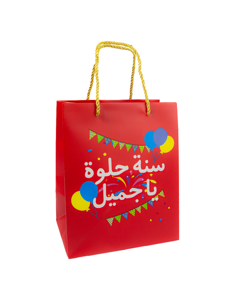 Happy Birthday Gift Bag-شنطة يوم ميلاد ورقيه