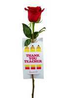 Thank You Teacher-Single Red Rose I-شكرا لك يا معلمة زهرة واحدة