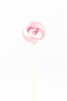 Mini Lollipop Pink - مصاصة صغيرة الحجم