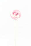 Mini Lollipop Pink - مصاصة صغيرة الحجم