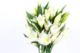 Vase Of Lilies Flowers - فازة مع زهور اليلي