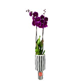 Purple Orchid Flower Vase -مزهرية زهرة الأوركيد الأرجواني