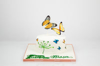 Painted Butterfly Cake - كيكة مزينه بالفراشات