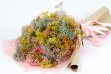 Colorful Gypsophila Bouquet - بوكيه ورد ملون