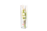 Tulip Flower Bouquet In Clear Box- بوكيه من ورود التوليب داخل شنطة شفافه