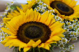 Sunflower Hand Bouquet - بوكيه ورد يدوي