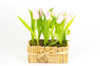 Bamboo Craft Vase II - فازة من الورود مع توليب زهري
