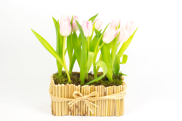Bamboo Craft Vase II - فازة من الورود مع توليب زهري