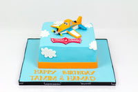 Plane 3D Cake - كيكة يوم ميلاد