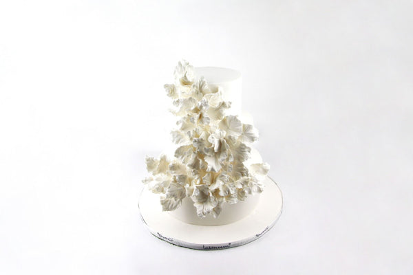 Elegant White Wedding Cake كعكة الزفاف البيضاء الأنيقة